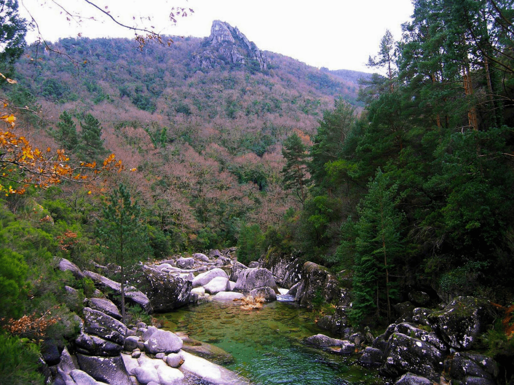 Anteprima esperienza naturalistica